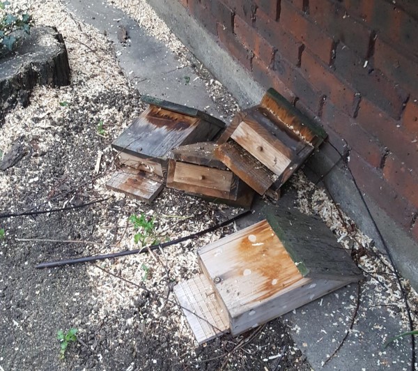 Destoyed bat boxes
