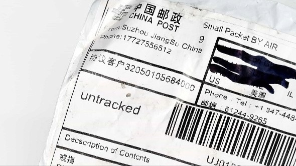 Seed from China