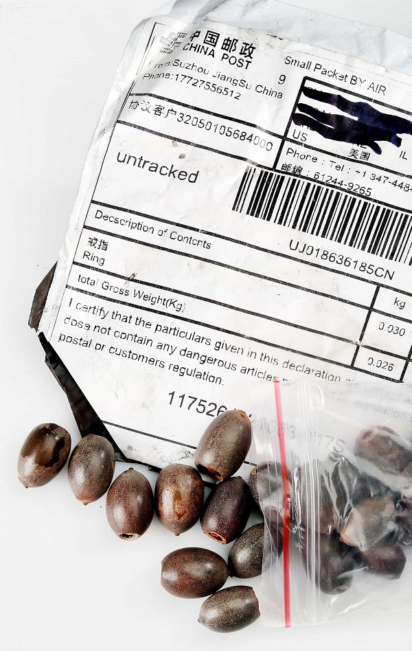 Seed packets from China