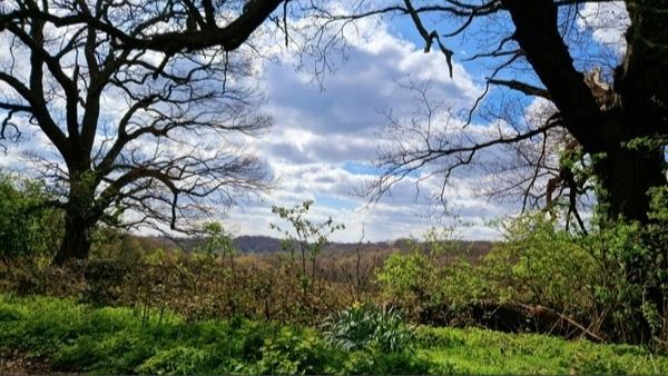Epping forest