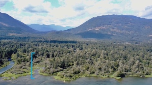 Indigenous forest