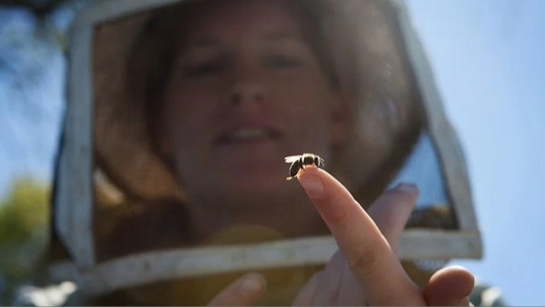 Bee