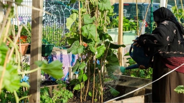 Local food growers