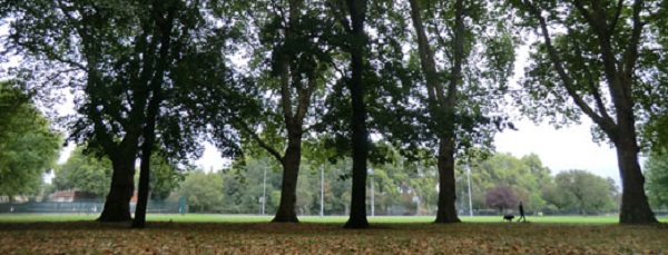 Millfiedls Park