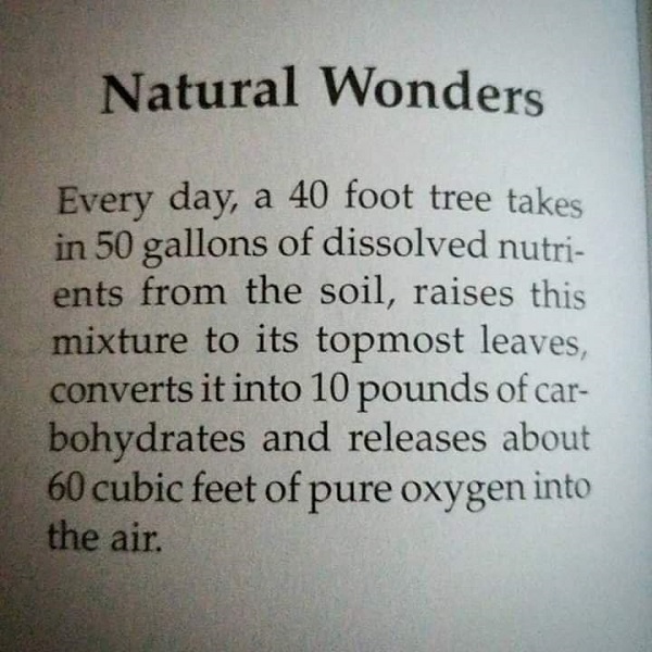 Ntural wonders