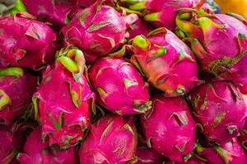 Dragon Fruit