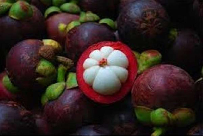 Mangosteens