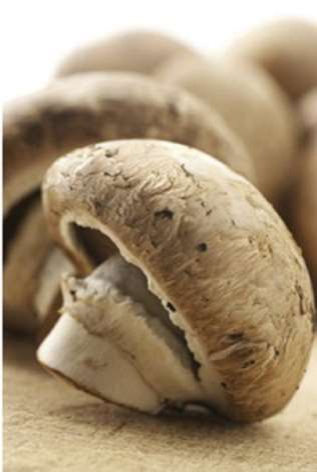 Mushroom Facts