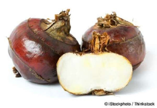 Water Chestnuts