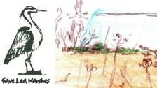 Lea Marshes