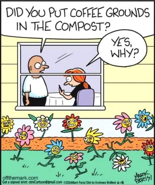 cartoon
