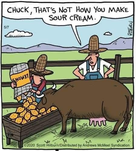 Cartoon