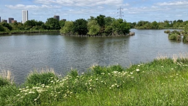 Woodberry Down