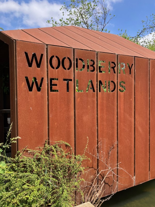 Woodberry Down and Walthamstow Wetlands.